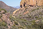 photo thumbnail #11