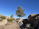 photo thumbnail #1