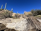 photo thumbnail #6