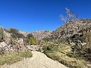 photo thumbnail #7