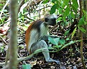 photo thumbnail #9