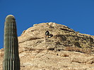 photo thumbnail #8