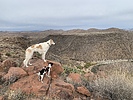 photo thumbnail #6