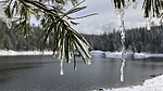 photo thumbnail #12