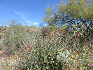 photo thumbnail #1