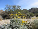 photo thumbnail #3