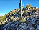 photo thumbnail #4