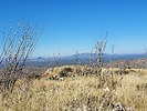 2021-12-19 :3: Tucson Trifecta :: DixieFlyer