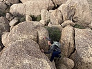 photo thumbnail #7
