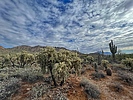 photo thumbnail #1