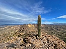 photo thumbnail #6