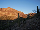 photo thumbnail #3