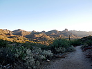 photo thumbnail #4