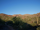 photo thumbnail #6