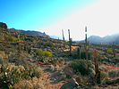 photo thumbnail #12
