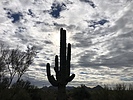 photo thumbnail #1