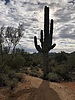 photo thumbnail #2