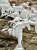 photo thumbnail #11