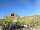 photo thumbnail #3