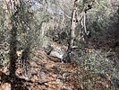 photo thumbnail #5