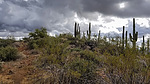 photo thumbnail #6