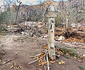 photo thumbnail #12