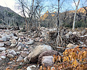 photo thumbnail #13