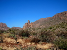 recent photo