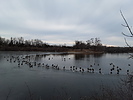 photo thumbnail #1