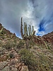 photo thumbnail #3