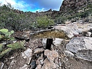 photo thumbnail #5
