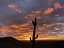 photo thumbnail #3