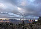 photo thumbnail #5