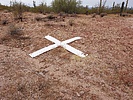 photo thumbnail #13