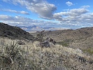 photo thumbnail #2
