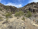 photo thumbnail #6