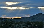 photo thumbnail #12