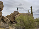 photo thumbnail #3
