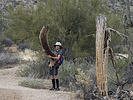 photo thumbnail #4