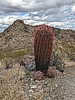 photo thumbnail #3