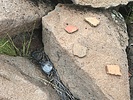 photo thumbnail #14