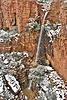 photo thumbnail #14