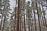 photo thumbnail #15