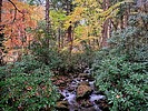 2021-10-28 :1: Great Smoky Mountains Photo Workshop :: tibber