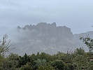 recent photo