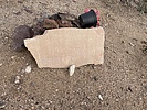 photo thumbnail #6