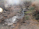 photo thumbnail #14