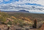 photo thumbnail #9