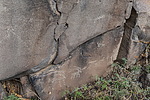 photo thumbnail #15