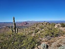photo thumbnail #14
